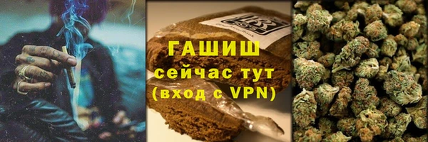 прущий лед Бикин