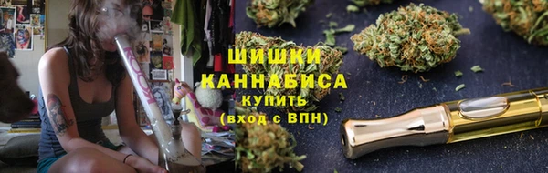 PSILOCYBIN Новокубанск